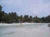M20.jpg (1407 Byte)