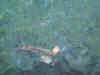 M9.jpg (1403 Byte)