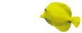efilm.gif (14868 Byte)
